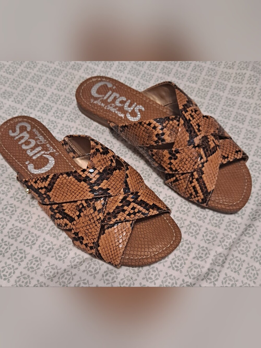 Circus by Sam Edelman Brown Snake-Print Slide Sandals Sz 5.5